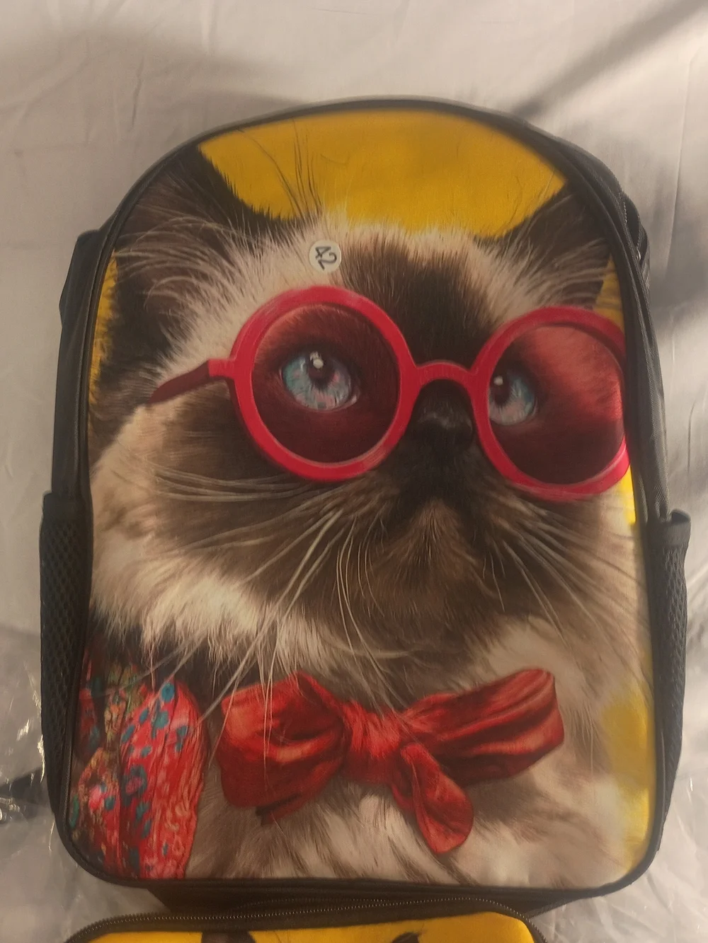N/A cute cat